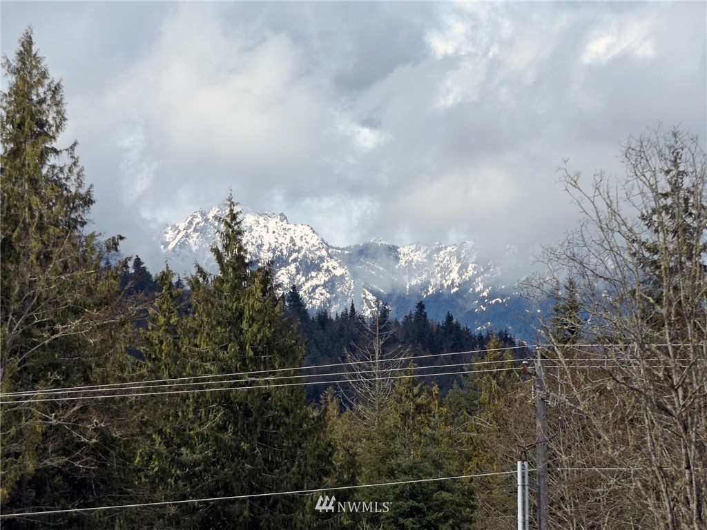 1553 Township Line Road Port Angeles, WA 98362 - Photo 25 of 25