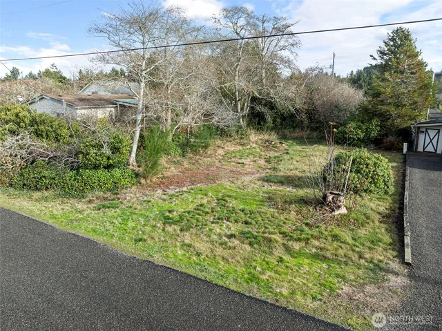 a view of a yard with plants and large trees