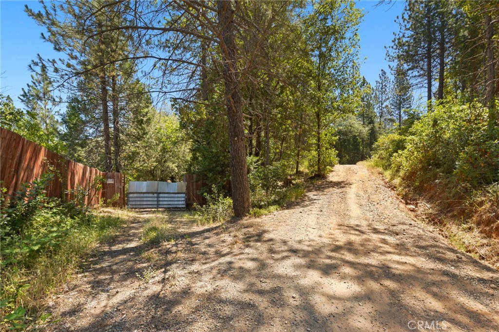 7859 Reed Lane Rackerby, CA 95972 - Photo 9 of 22