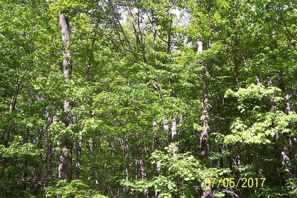 0 Byron Village Road Roxbury, ME 04275 - Photo 6 of 7 Photo