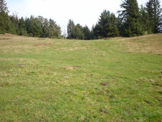 0 Berta Road Eureka, CA 95503 - Photo 11 of 20