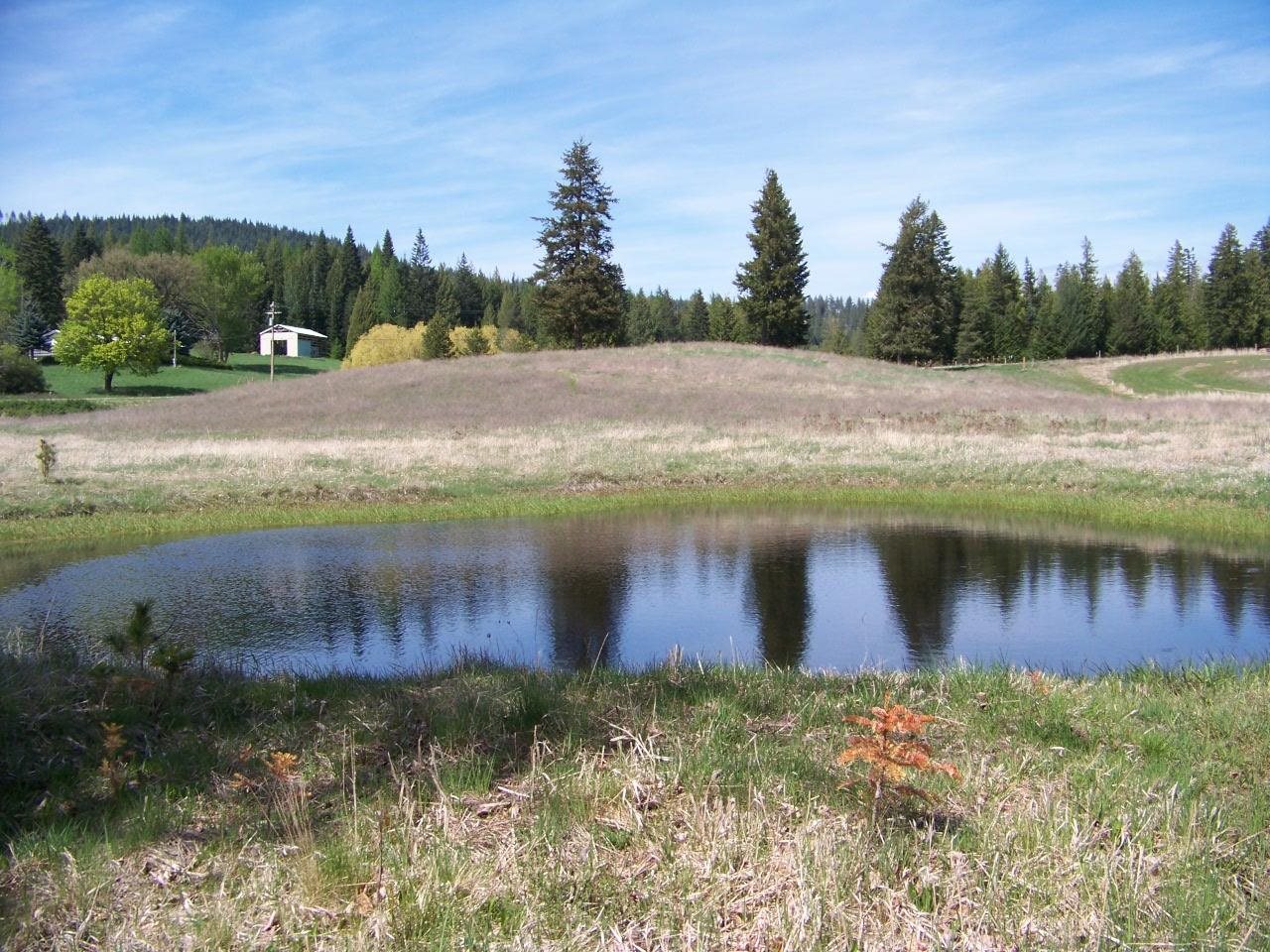 L1 Spring Valley Road Newport, WA 99156 - Photo 1 of 19 Gallery Image 1