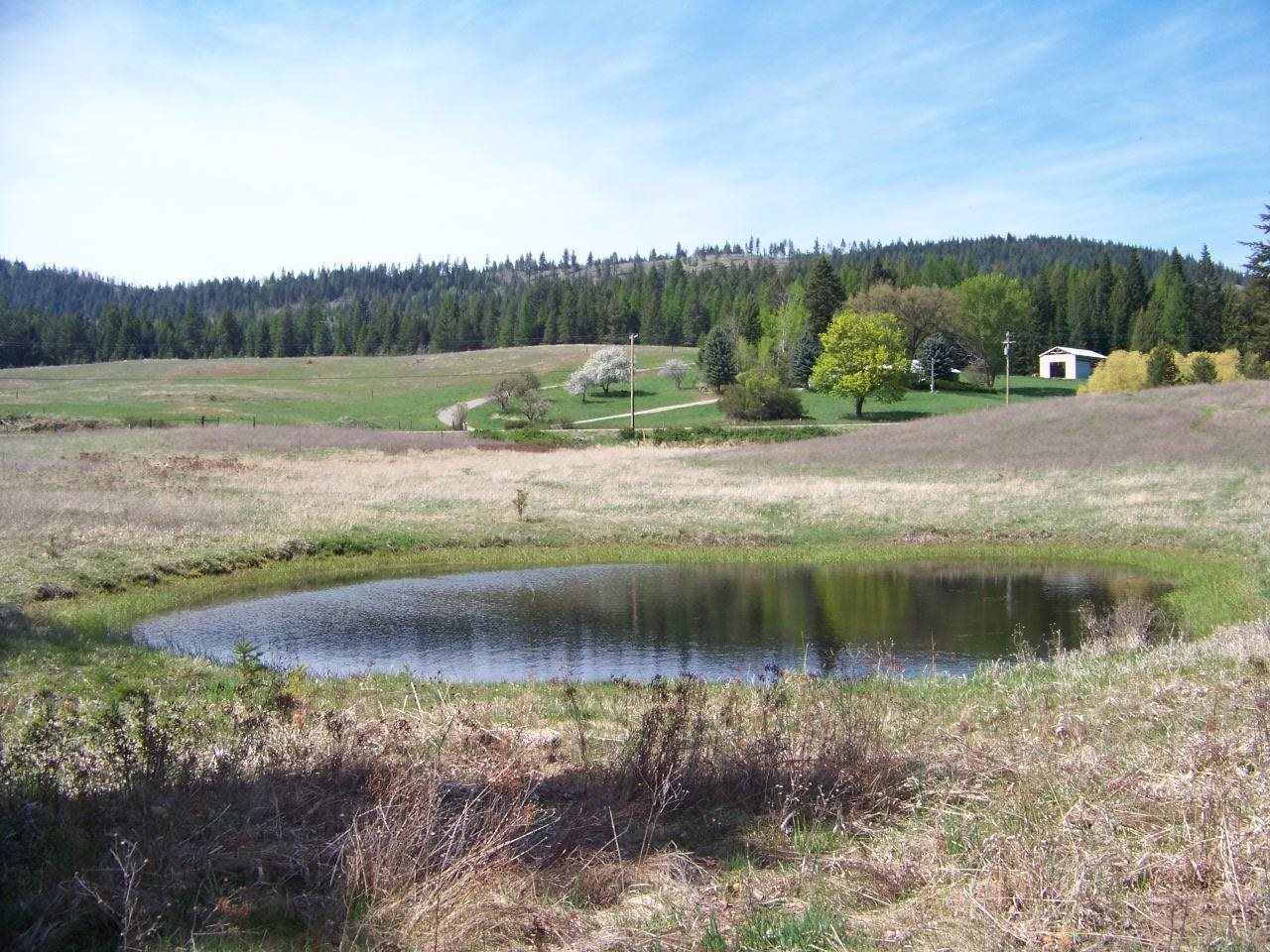 L1 Spring Valley Road Newport, WA 99156 - Photo 2 of 19 Gallery Image 2