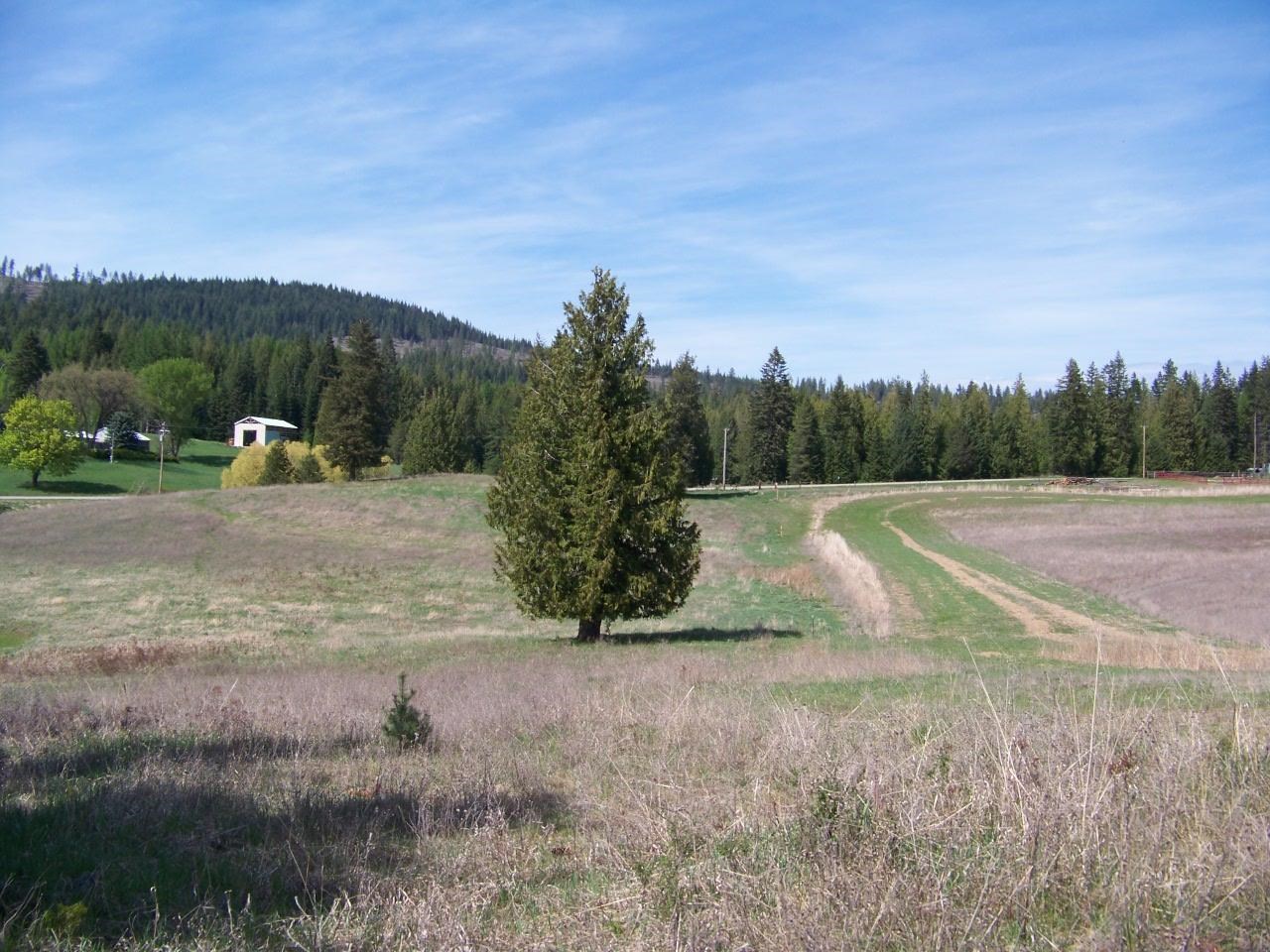 L1 Spring Valley Road Newport, WA 99156 - Photo 11 of 19 Gallery Image 11