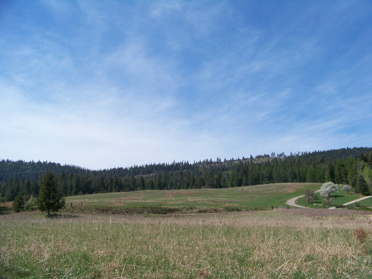 L1 Spring Valley Road Newport, WA 99156 - Photo 12 of 19 Gallery Image 12
