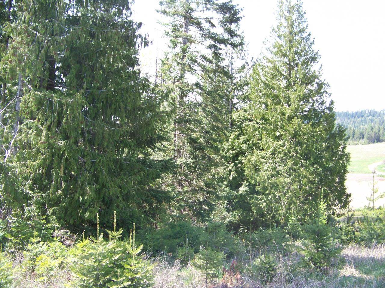 L1 Spring Valley Road Newport, WA 99156 - Photo 13 of 19 Gallery Image 13