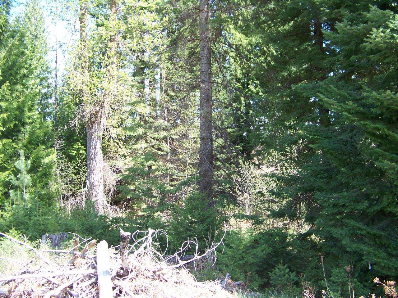 L1 Spring Valley Road Newport, WA 99156 - Photo 14 of 19 Gallery Image 14