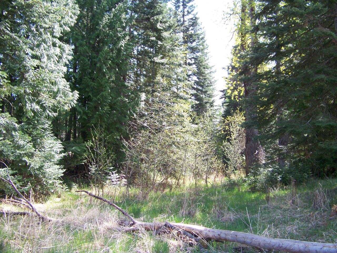L1 Spring Valley Road Newport, WA 99156 - Photo 15 of 19 Gallery Image 15
