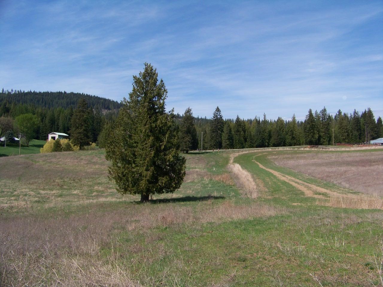 L1 Spring Valley Road Newport, WA 99156 - Photo 10 of 19 Gallery Image 10