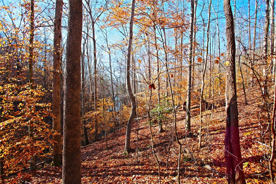 307 Cedar Creek Drive Sunset, SC 29685 - Photo 11 of 42