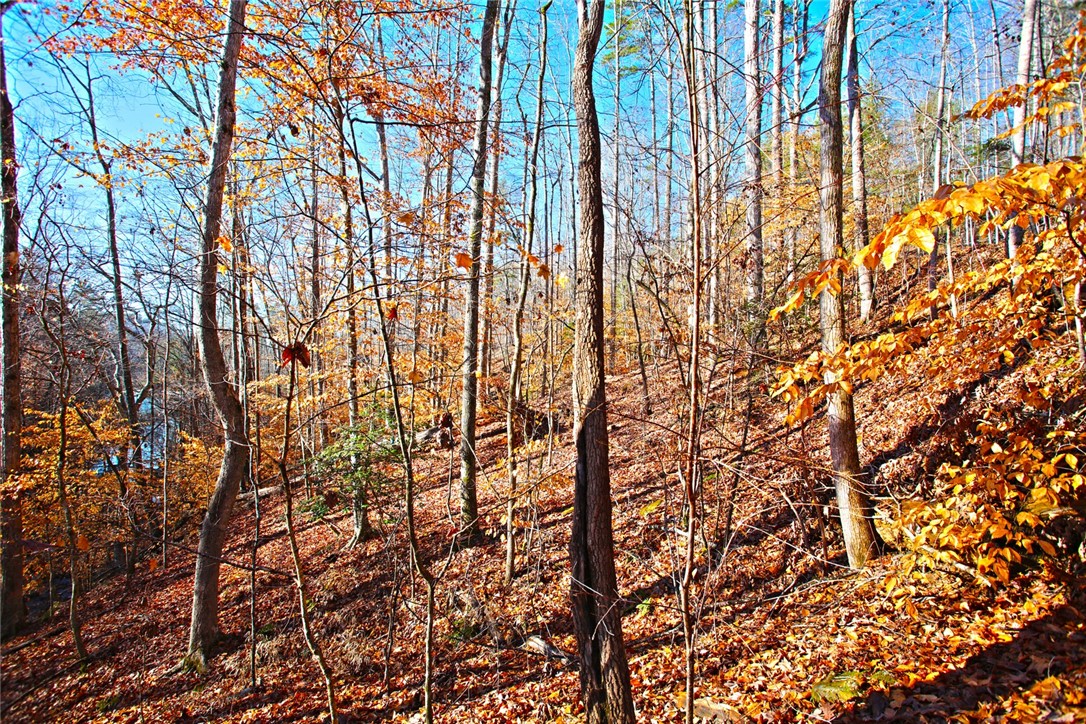 307 Cedar Creek Drive Sunset, SC 29685 - Photo 12 of 42