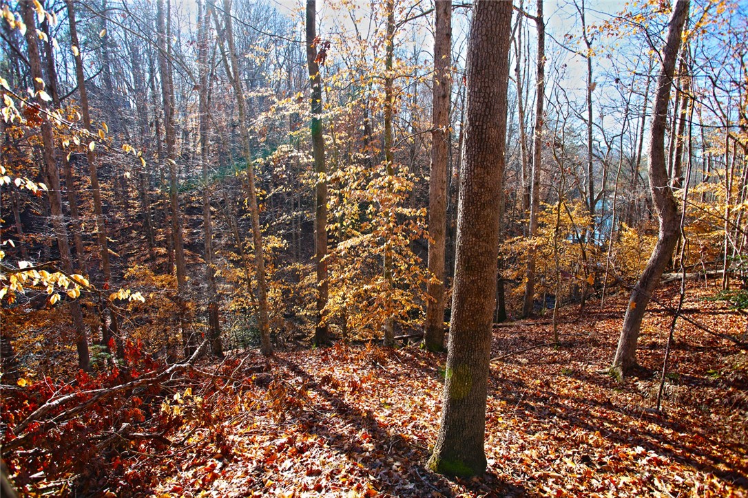 307 Cedar Creek Drive Sunset, SC 29685 - Photo 13 of 42