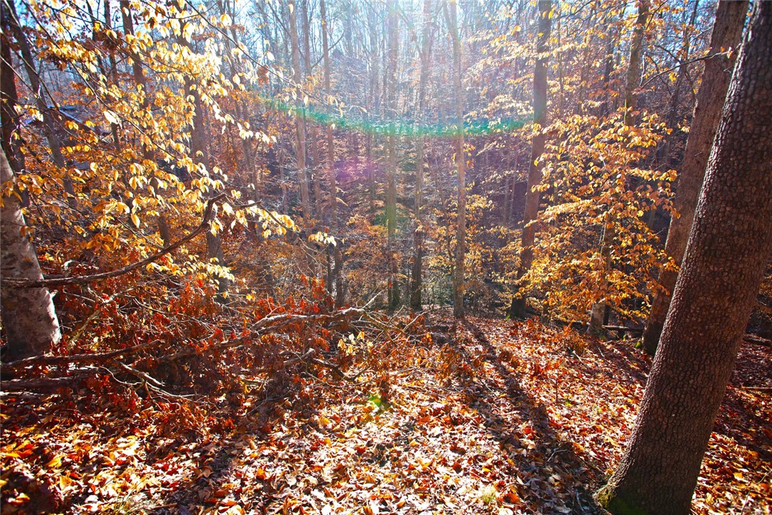 307 Cedar Creek Drive Sunset, SC 29685 - Photo 14 of 42