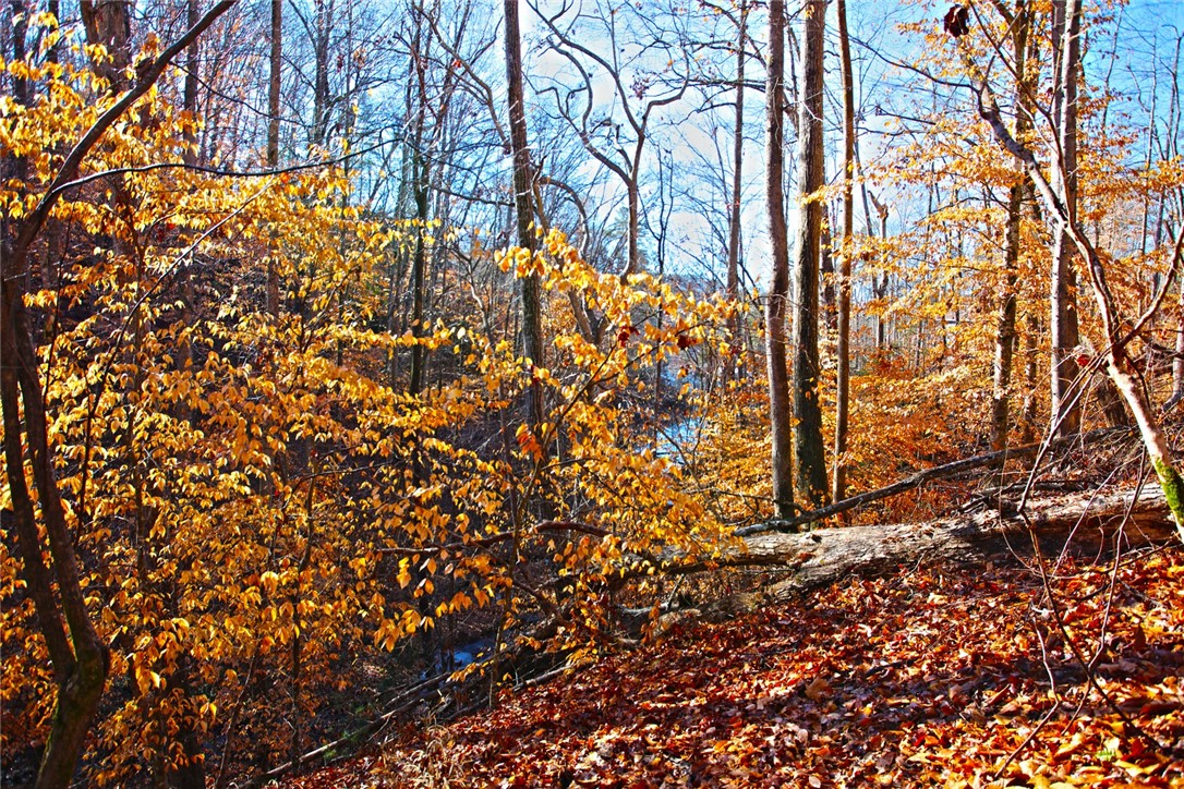 307 Cedar Creek Drive Sunset, SC 29685 - Photo 15 of 42