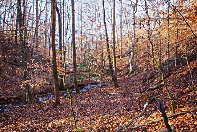 $119,000 | 307 Cedar Creek Drive, Sunset, SC 29685