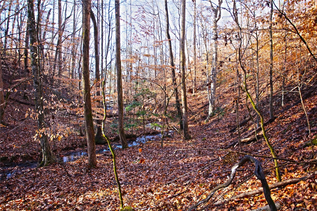 307 Cedar Creek Drive Sunset, SC 29685 - Photo 16 of 42