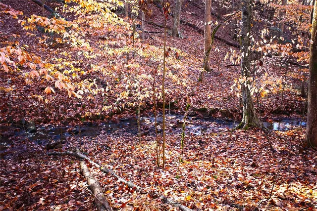 $119,000 | 307 Cedar Creek Drive, Sunset, SC 29685