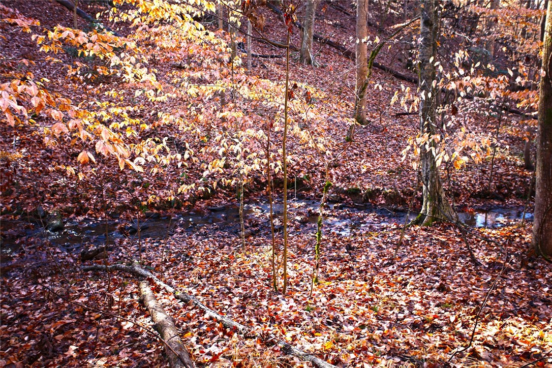 307 Cedar Creek Drive Sunset, SC 29685 - Photo 17 of 42