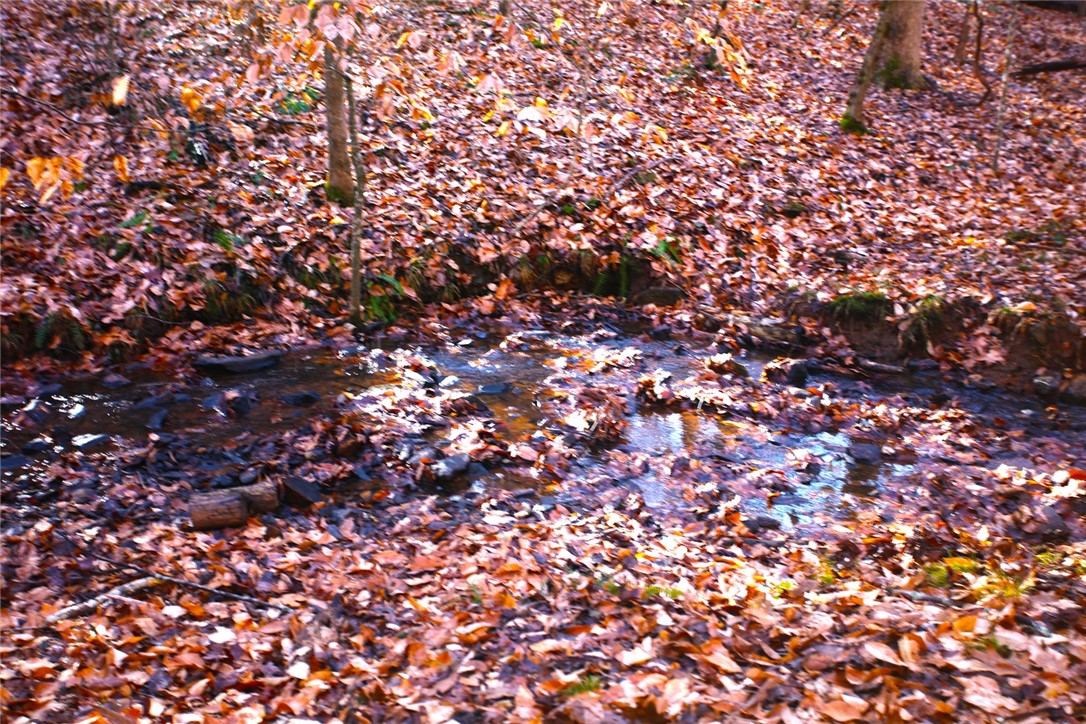 307 Cedar Creek Drive Sunset, SC 29685 - Photo 18 of 42