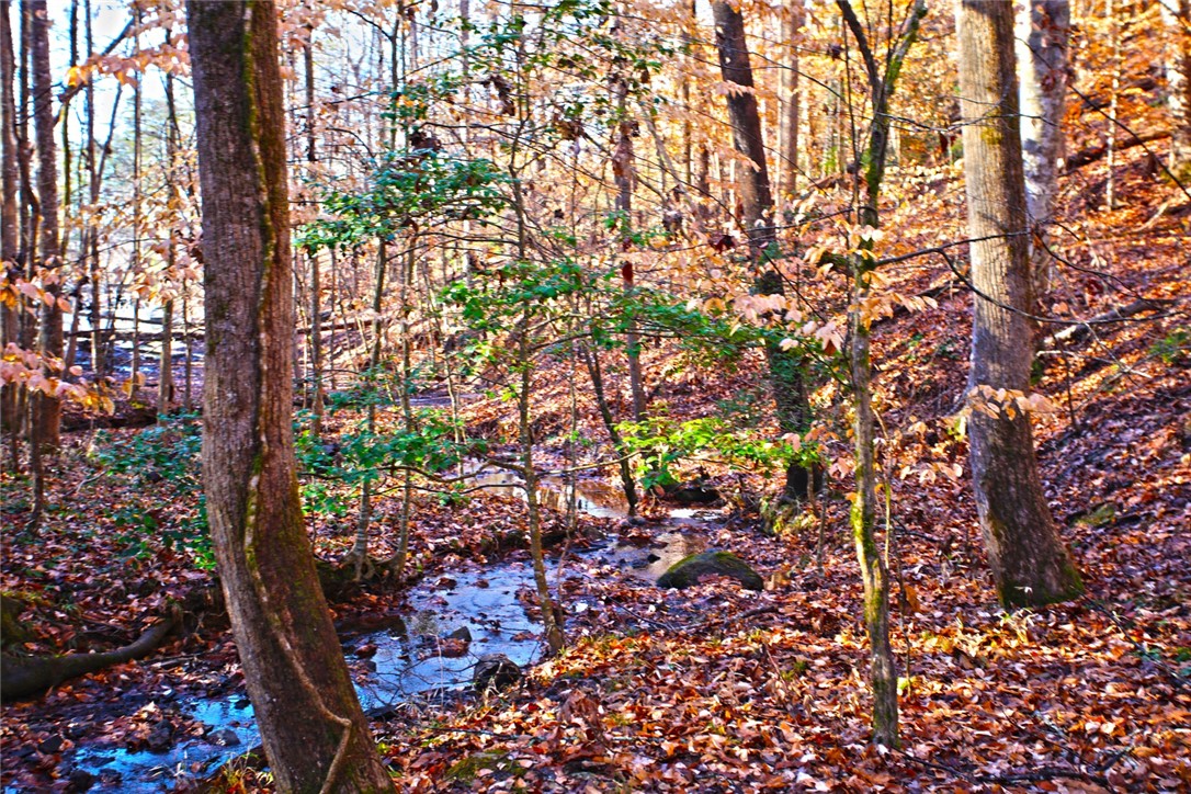 307 Cedar Creek Drive Sunset, SC 29685 - Photo 19 of 42