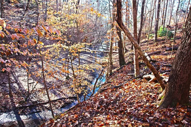 $119,000 | 307 Cedar Creek Drive, Sunset, SC 29685