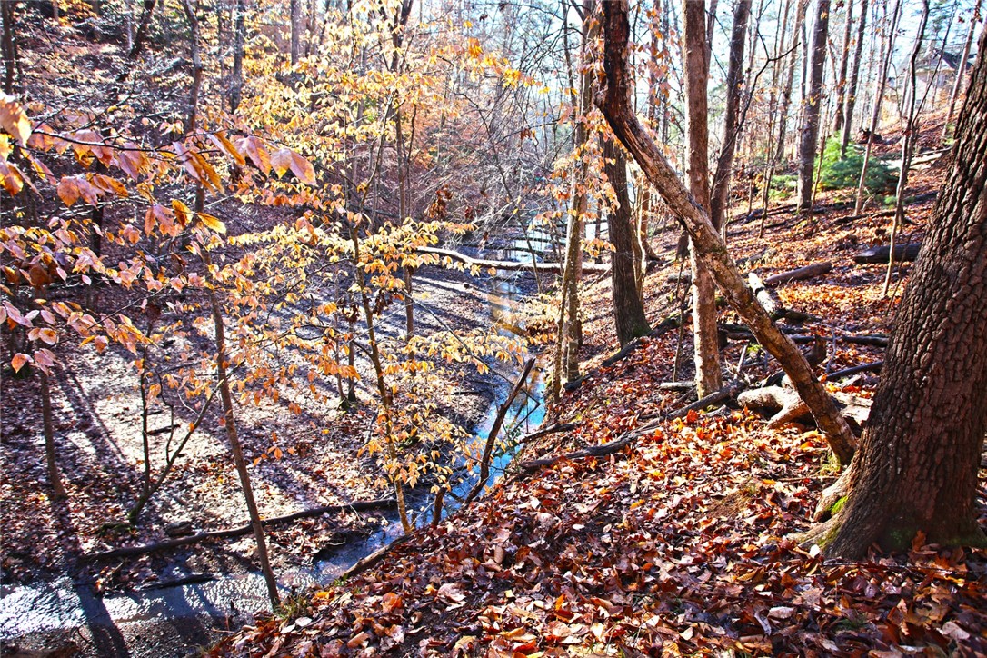 307 Cedar Creek Drive Sunset, SC 29685 - Photo 21 of 42