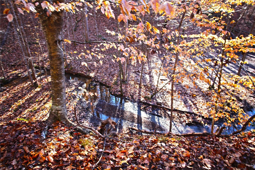 307 Cedar Creek Drive Sunset, SC 29685 - Photo 22 of 42