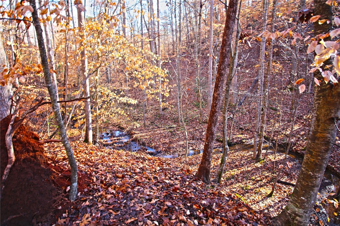 307 Cedar Creek Drive Sunset, SC 29685 - Photo 23 of 42