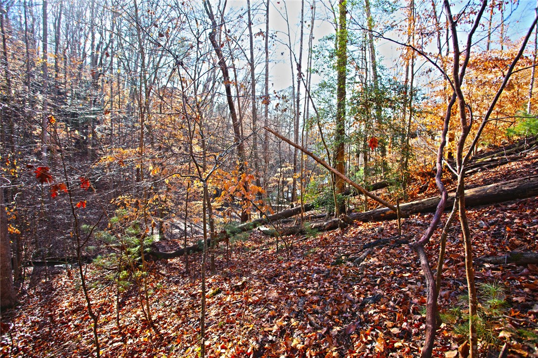 307 Cedar Creek Drive Sunset, SC 29685 - Photo 25 of 42