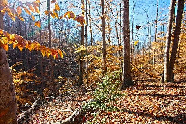 $119,000 | 307 Cedar Creek Drive, Sunset, SC 29685