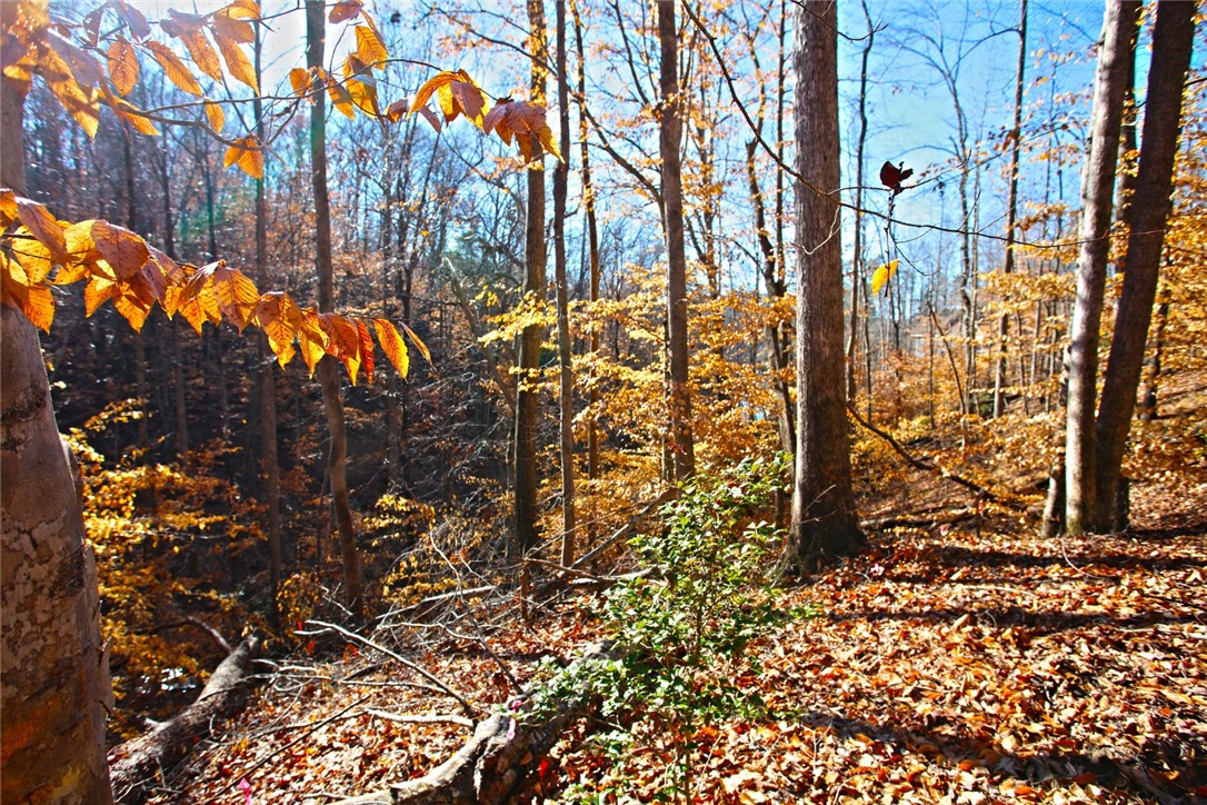307 Cedar Creek Drive Sunset, SC 29685 - Photo 26 of 42