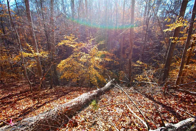 $119,000 | 307 Cedar Creek Drive, Sunset, SC 29685