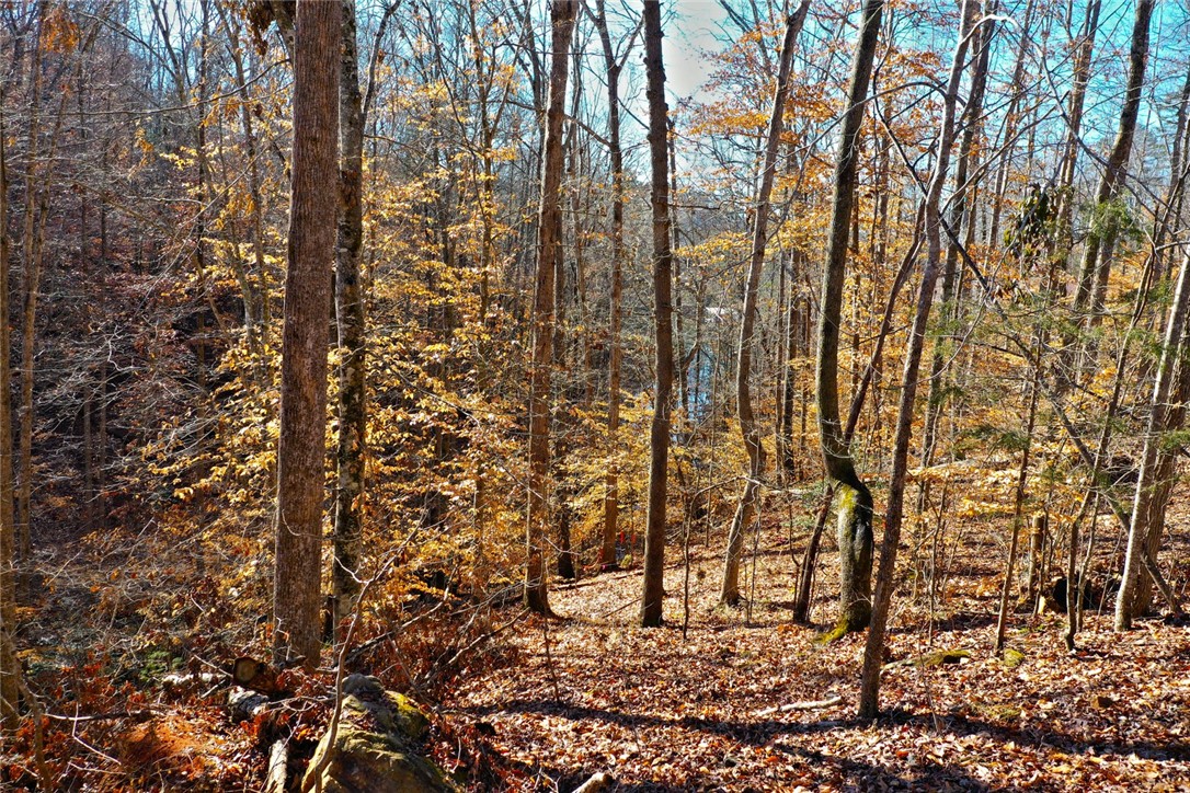 307 Cedar Creek Drive Sunset, SC 29685 - Photo 33 of 42