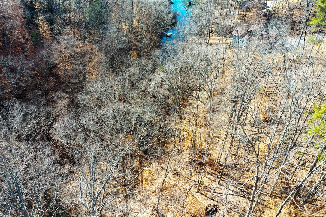 307 Cedar Creek Drive Sunset, SC 29685 - Photo 34 of 42