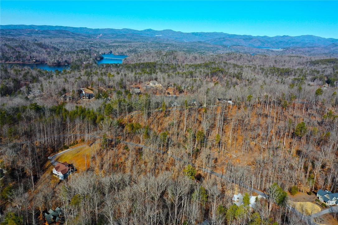 307 Cedar Creek Drive Sunset, SC 29685 - Photo 37 of 42