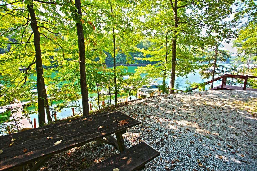 307 Cedar Creek Drive Sunset, SC 29685 - Photo 41 of 42