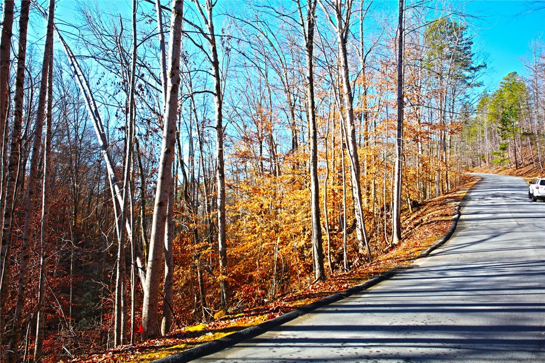 307 Cedar Creek Drive Sunset, SC 29685 - Photo 8 of 42