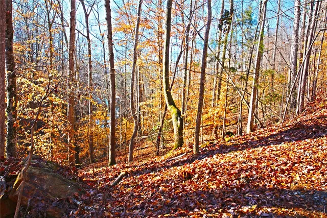 $119,000 | 307 Cedar Creek Drive, Sunset, SC 29685