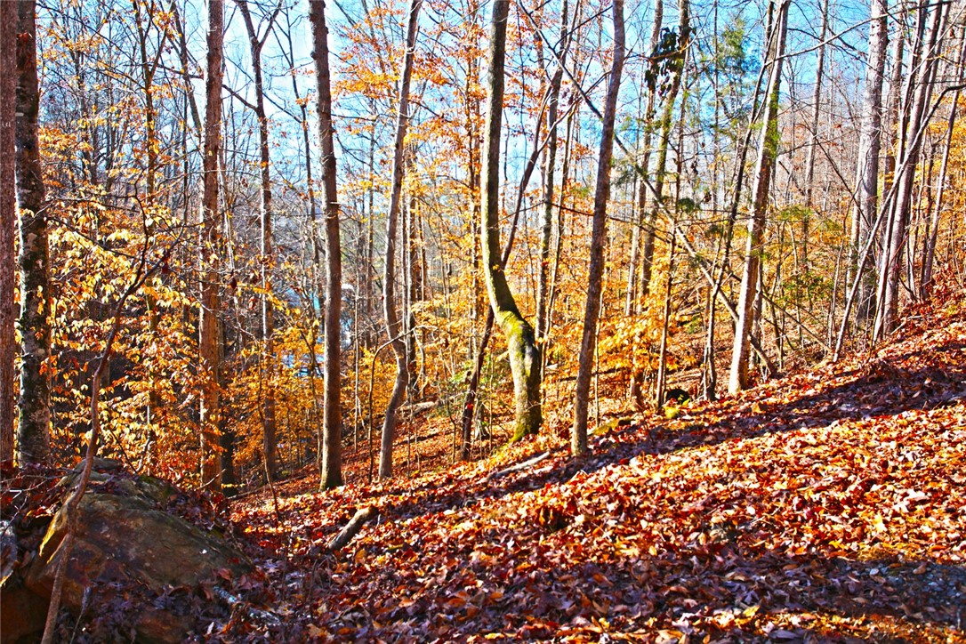 307 Cedar Creek Drive Sunset, SC 29685 - Photo 9 of 42