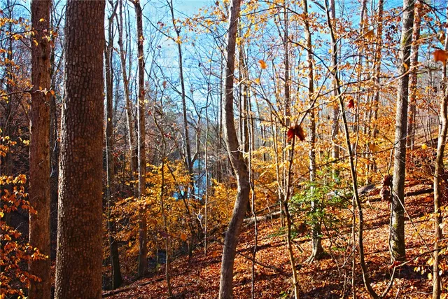 $119,000 | 307 Cedar Creek Drive, Sunset, SC 29685