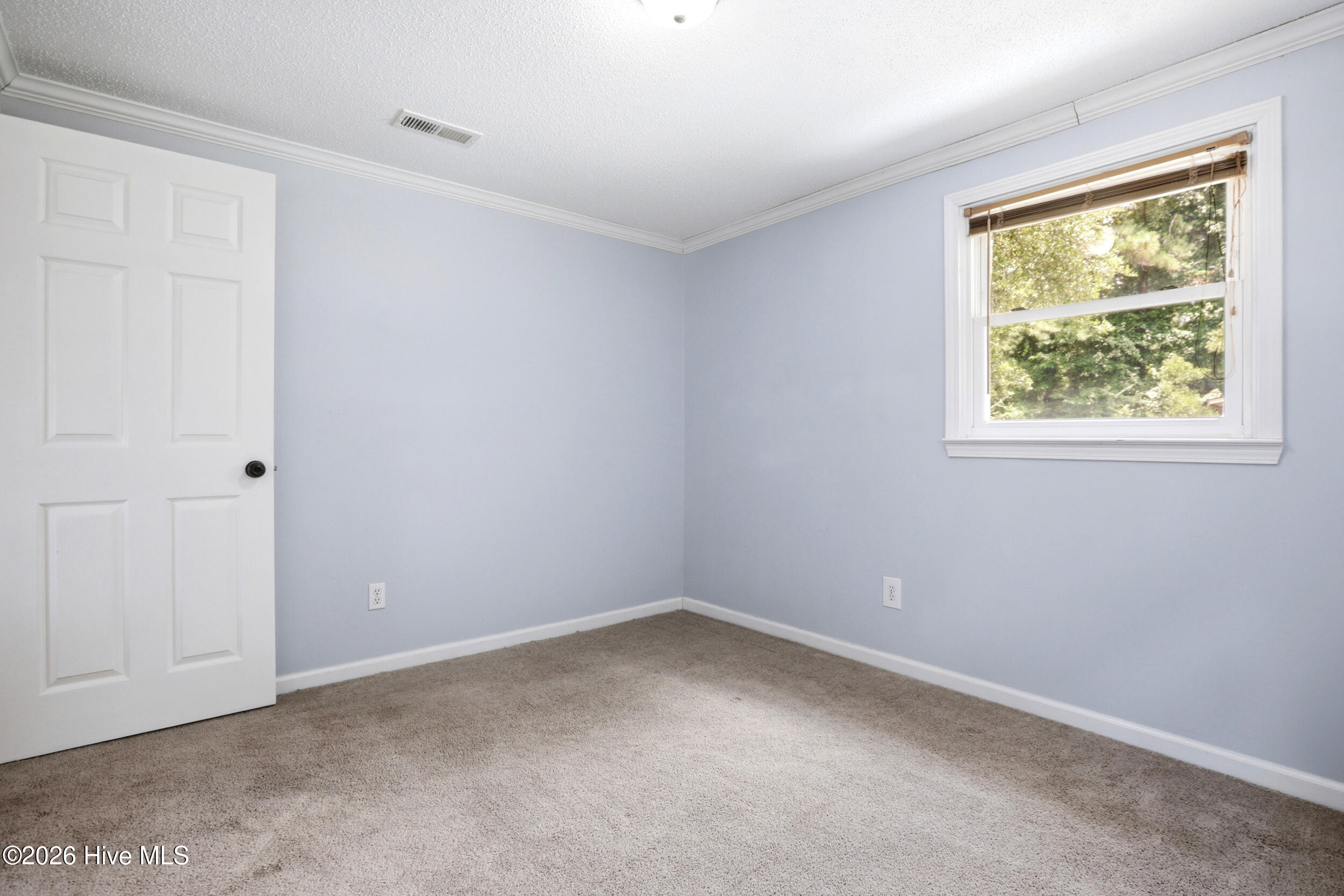 249 Ernest Gurganus Road Jacksonville, NC 28540 - Photo 27 of 51