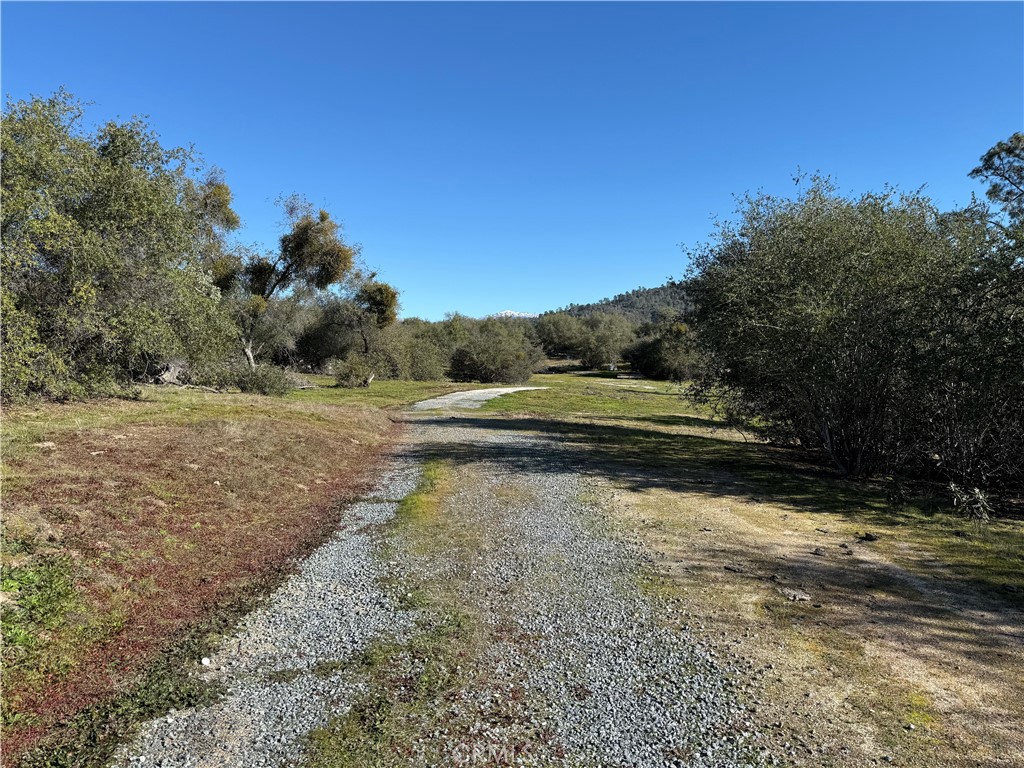 -37.88 Ac Flying O Ranch Road Coarsegold, CA 93614 - Photo 4 of 24 a view of a yard