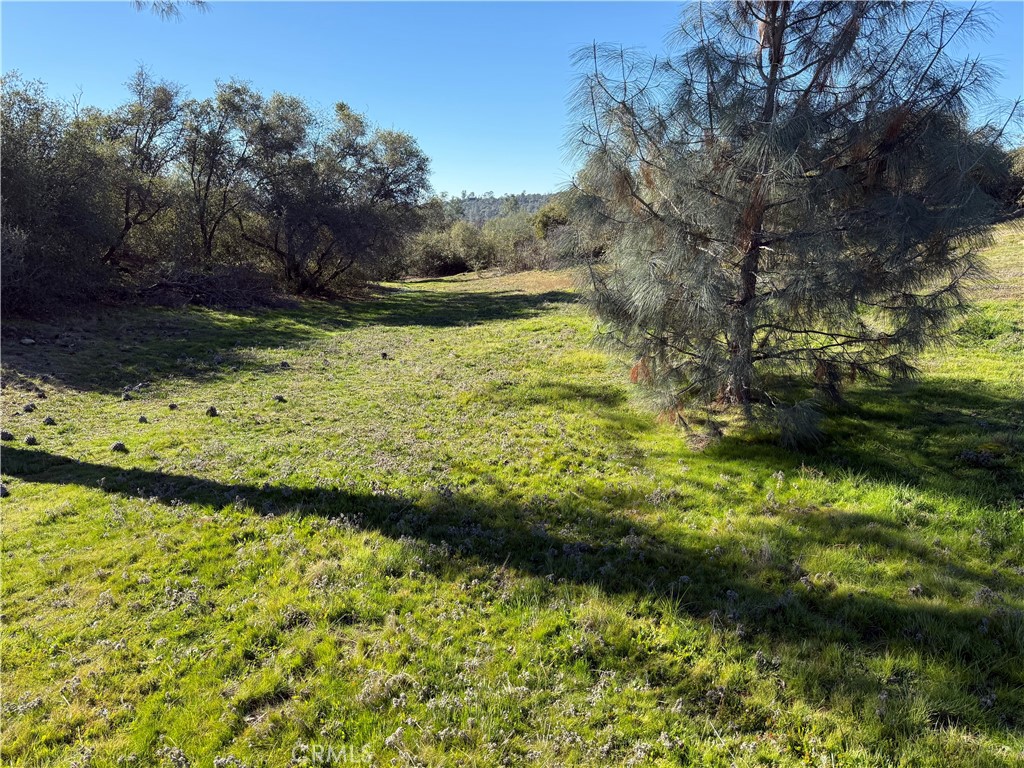 -37.88 Ac Flying O Ranch Road Coarsegold, CA 93614 - Photo 5 of 24