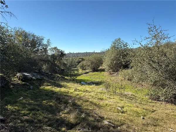a view of a yard with a house