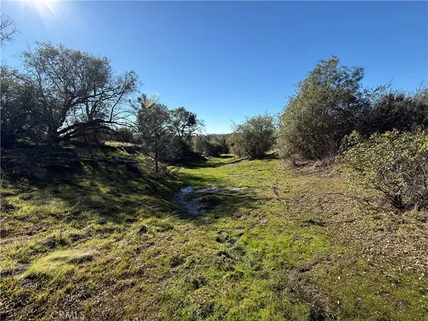 a view of a dry field