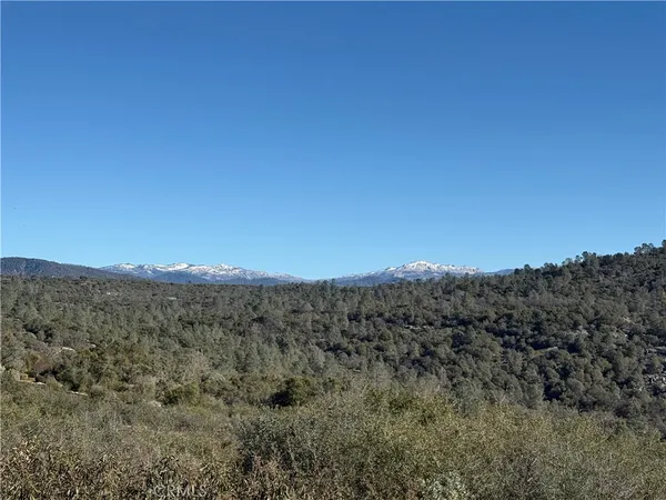 a view of a back yard