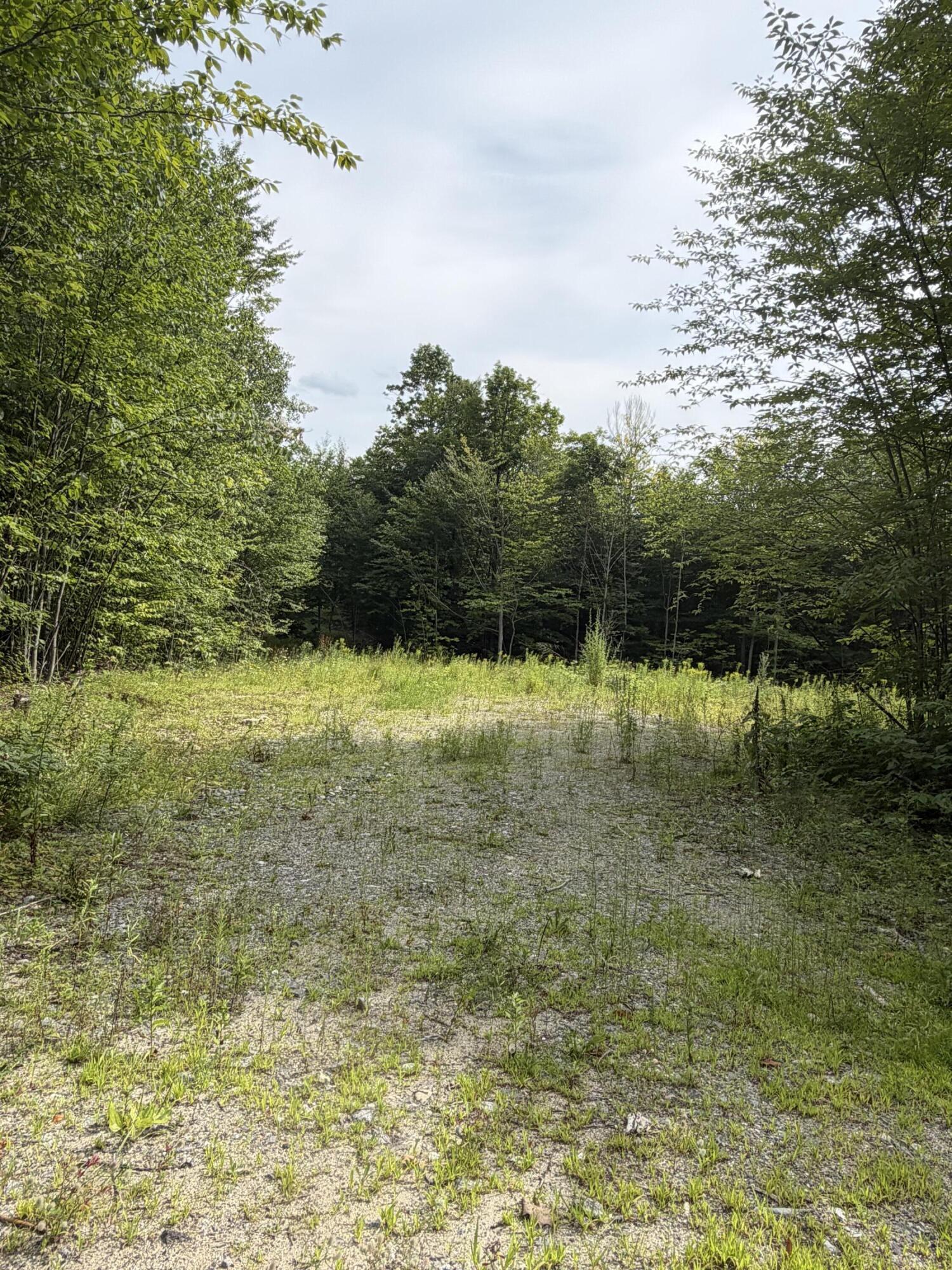 Lot 60-116 Plaisted Road Jay, ME 04239 - Photo 8 of 9 Plaisted Rd 8
