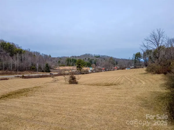 a view of a yard with trees in front of it
