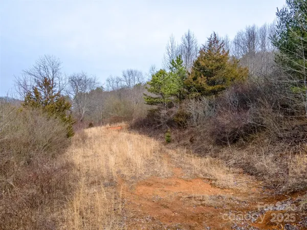 a view of a dry yard