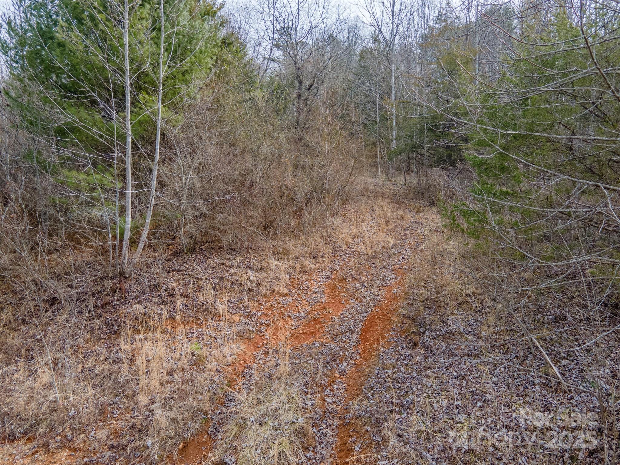 0 Georgia Road Franklin, NC 28734 - Photo 13 of 29 a view of a dry yard